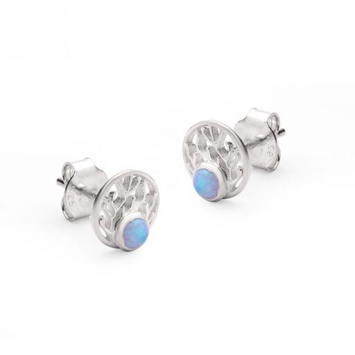 Pair of silver earrings with blue gemstones on a white background