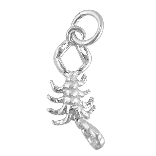 Zodiac Scorpio Charm