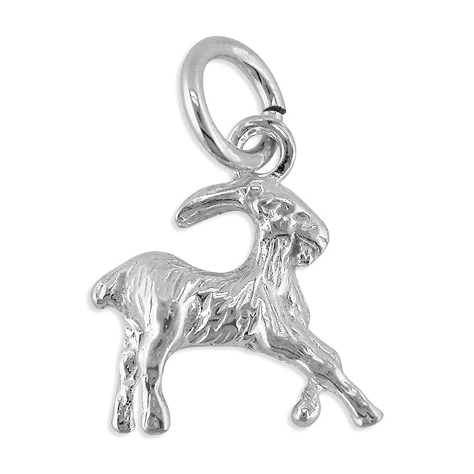 Sterling silver Capricorn Zodiac Charm