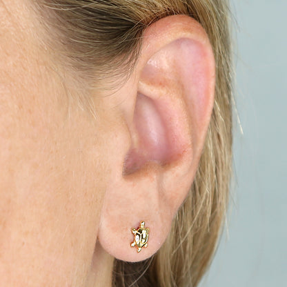 Joli Beau Sterling Silver Coastal Tiny 18ct Yellow Gold Vermeil Turtle Stud Earrings
